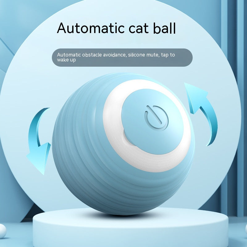 Smart Ball for Cat