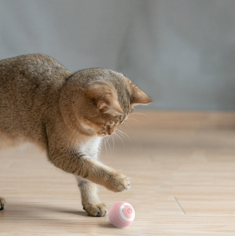 Smart Ball for Cat