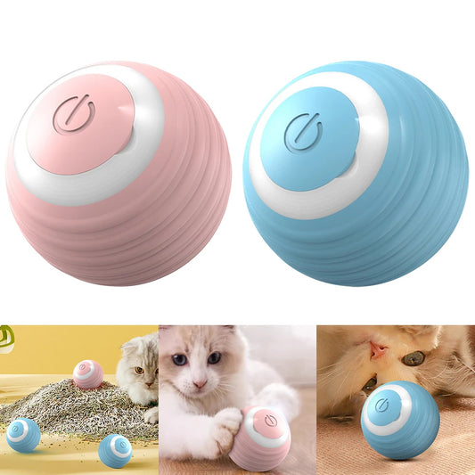 Smart Ball for Cat