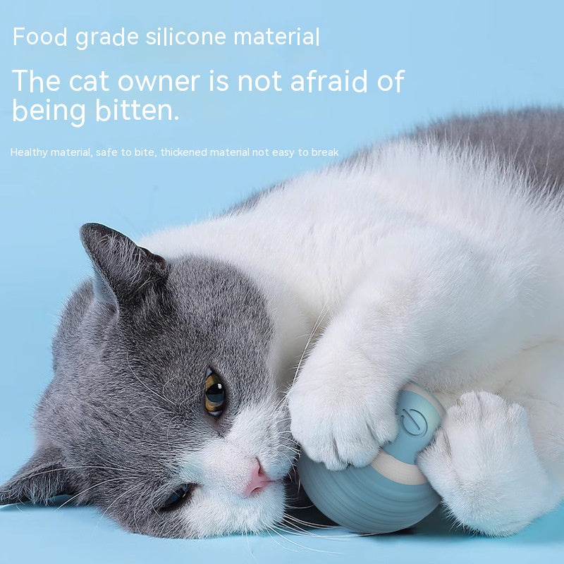 Smart Ball for Cat